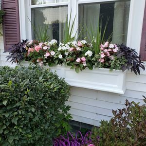 Meet your Posher, Sue